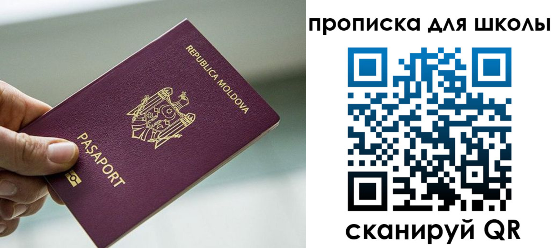 прописка в квартире в Эртили